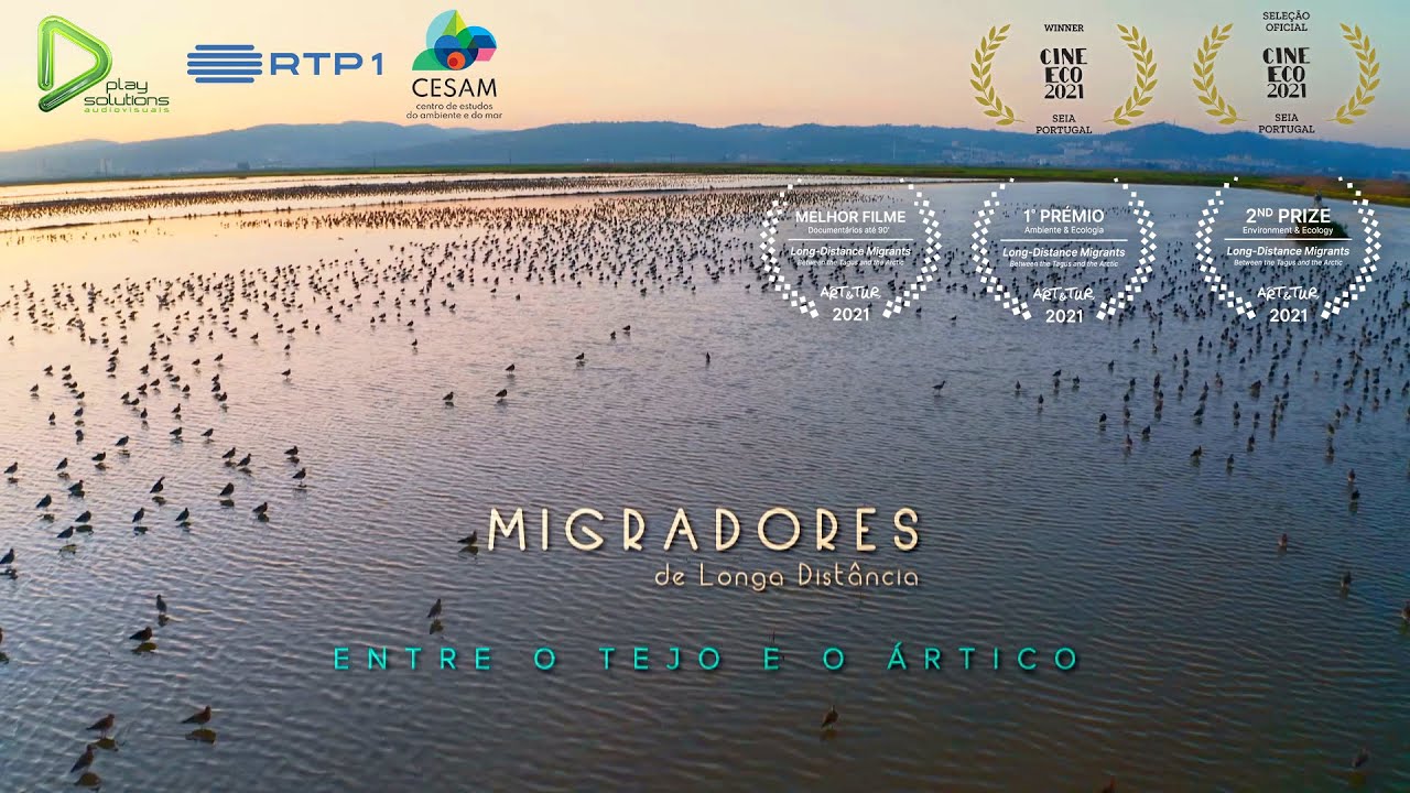 Migradores de Longa distância: Entre o Tejo e o Ártico