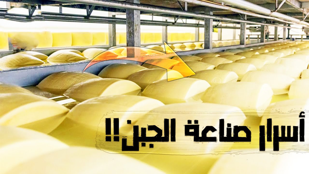 شاهد كيف يتم تصنيع الجبن داخل المصانع العملاقة , لم يسبق لك رؤيتها من قبل !!