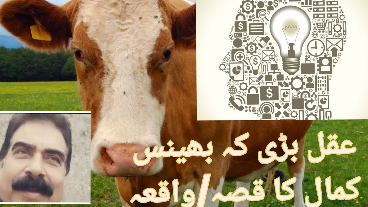 MILLION DOLLARs GOLDEN TIP یہ سچا واقعہ آپ کی زندگی بدل دے گا ۔ ایکبار سنیں دوستوںمیں شیر کریں 
