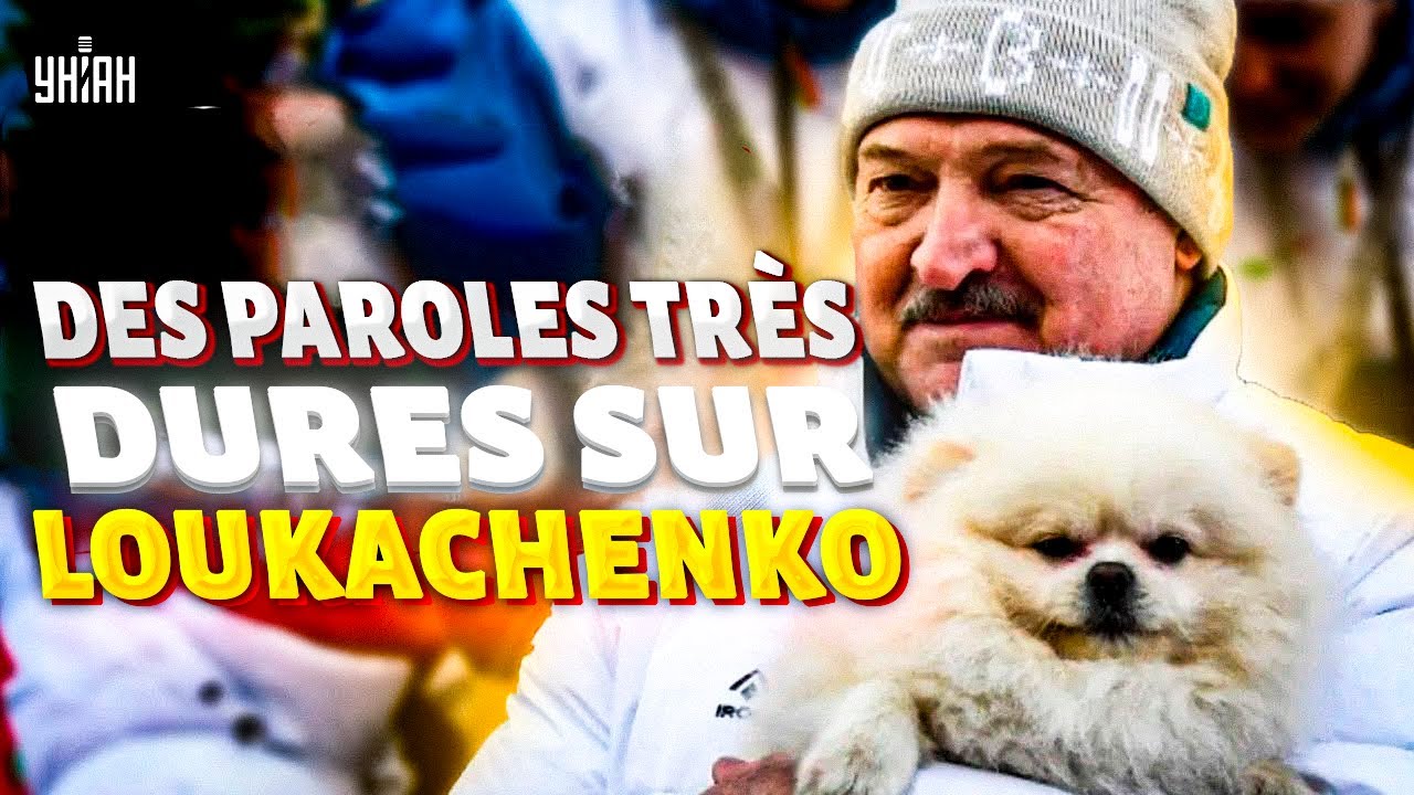 Zelensky a HUMILIÉ SÉVÈREMENT Loukachenko et a soutenu les PROTESTATIONS en Biélorussie