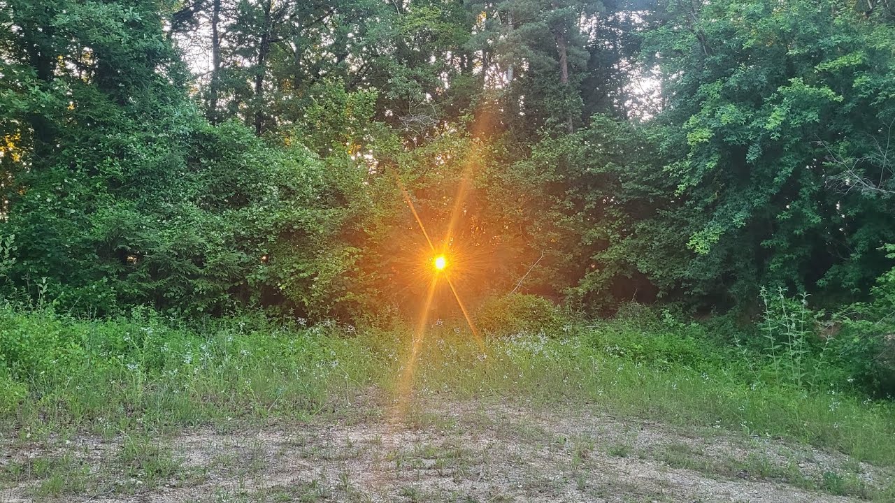 Jour - 28 de Chanceaux à Saint Marc sur seine- 22 kms
