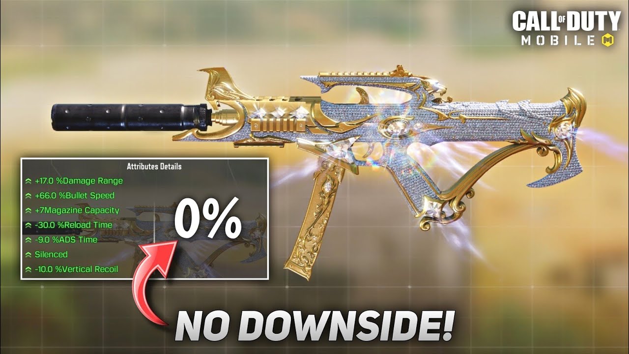 My New LAPA gunsmith has No downside!