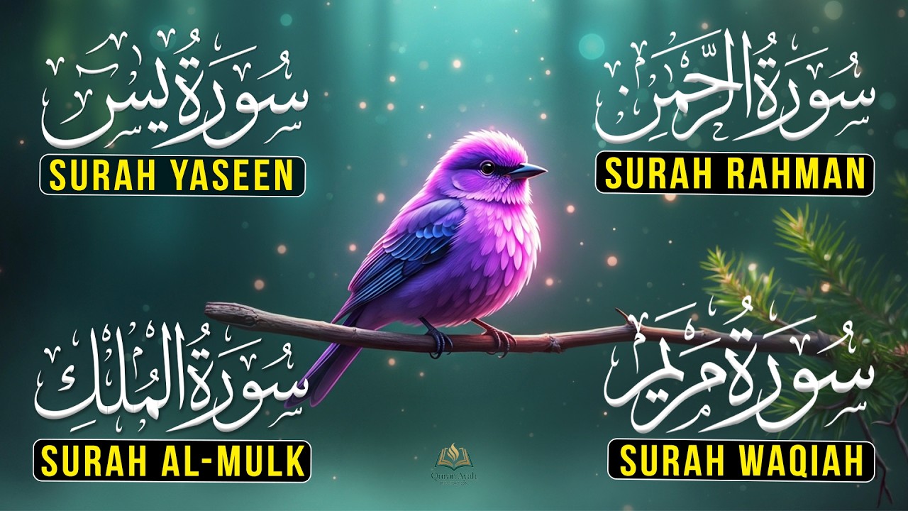 Heart-Calming Recitation of Surah Yaseen | Rahman | Waqiah | Mulk | Reciter Ashraf Hussain 19