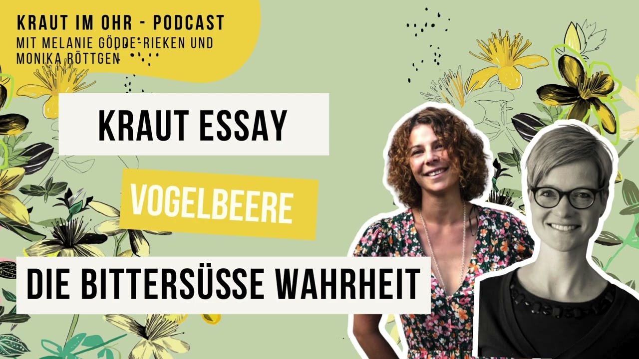 Kraut-Essay Vogelbeere: Die bittersüße Wahrheit