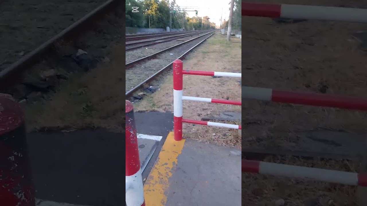 ¡¡Paso el tren gt22 a911!!pasando el día con mi papá