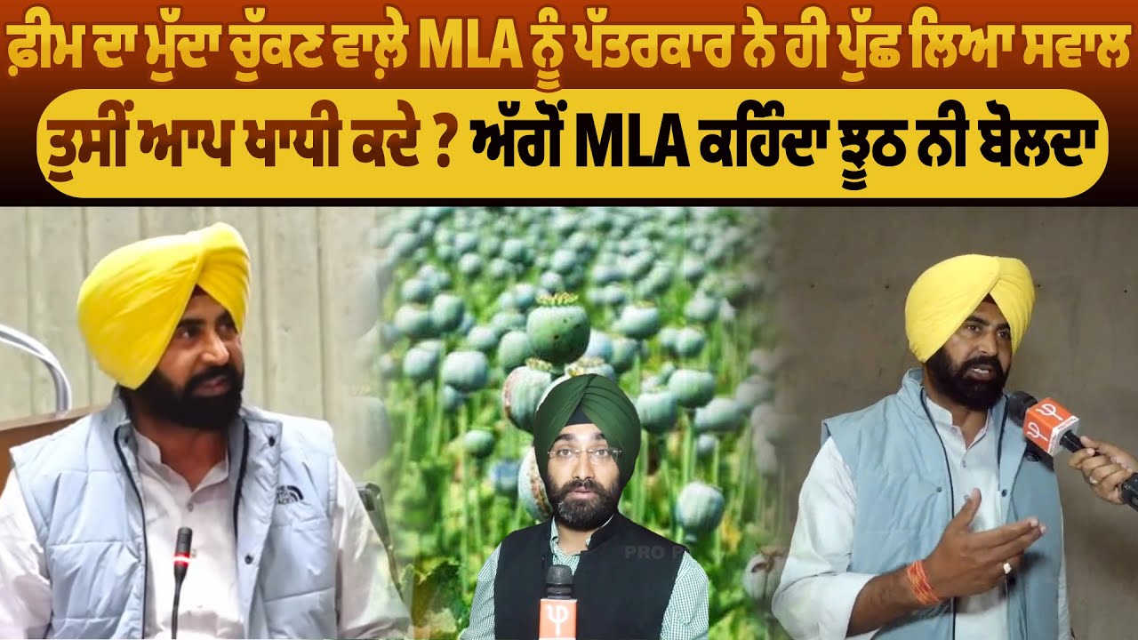ਫ਼ੀਮ ਦਾ ਮੁੱਦਾ ਚੁੱਕਣ ਵਾਲ਼ੇ MLA ਨੂੰ ਪੱਤਰਕਾਰ ਨੇ ਹੀ ਪੁੱਛ ਲਿਆ ਸਵਾਲ - ਤੁਸੀਂ ਆਪ ਖਾਧੀ ਕਦੇ ? | Pro Punjab Tv