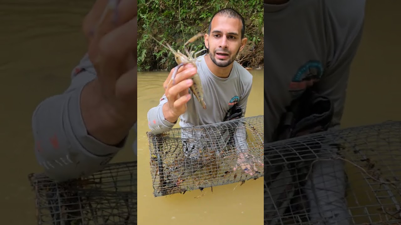 Chequeando las nasas🦞🔥