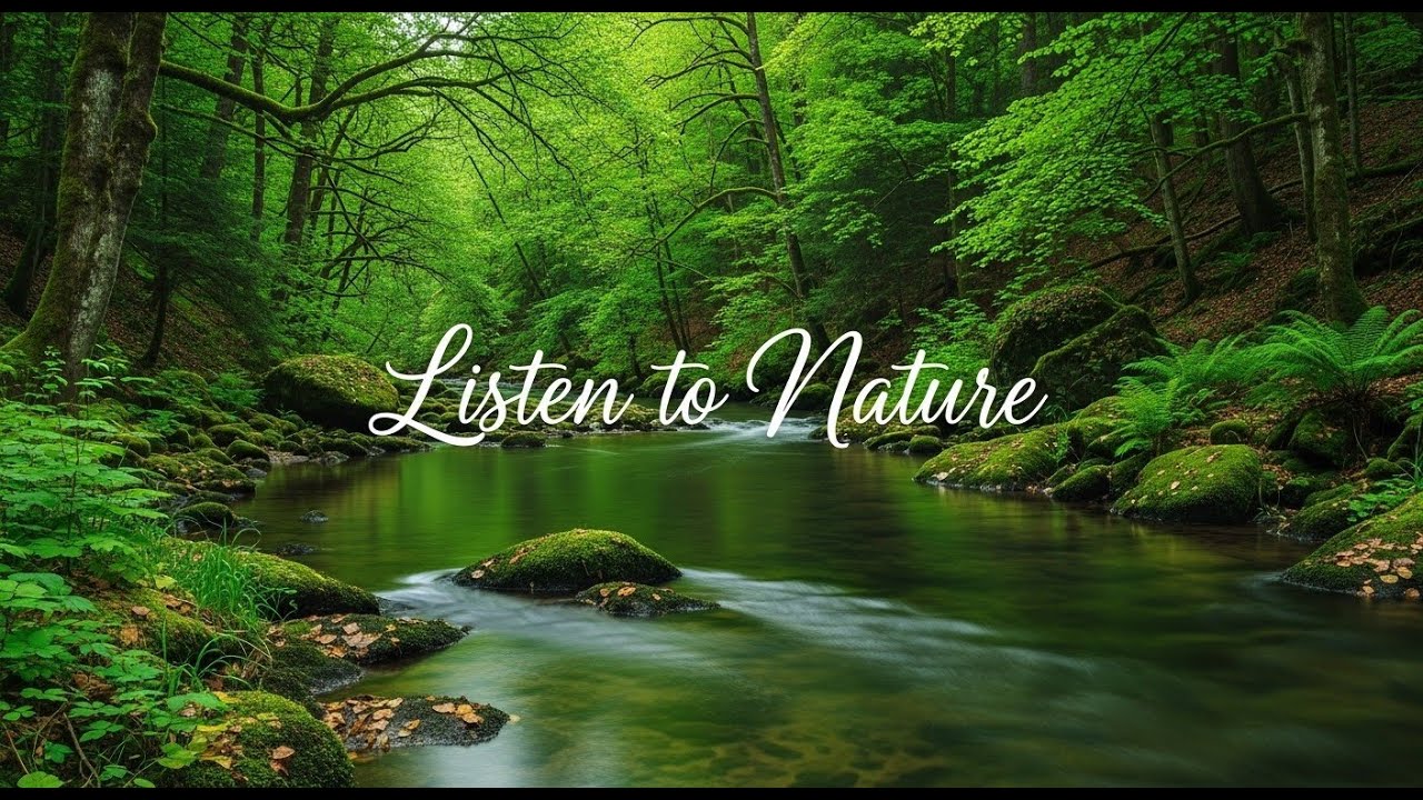 Gentle River Water Sounds 12 Hours Stress Relief and Calm Mind