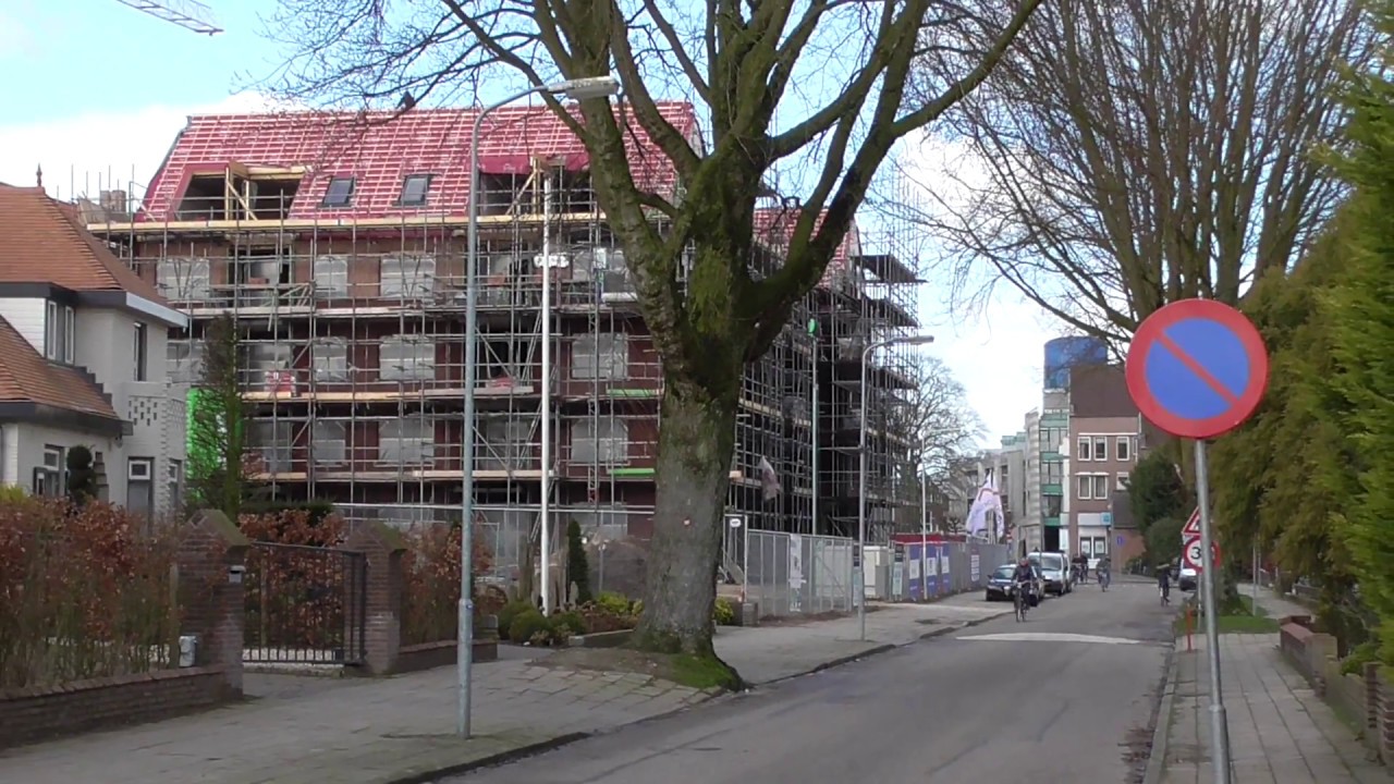 Oostflank Wijchen deel 88  / afscheid van 4 oude esdoorns langs de Oosterweg