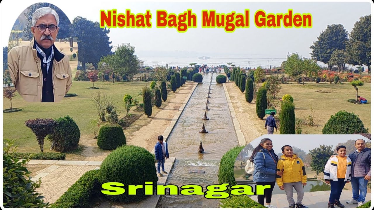 Mughal Garden Shrinagar Nishat Bagh#garden#Kashmir