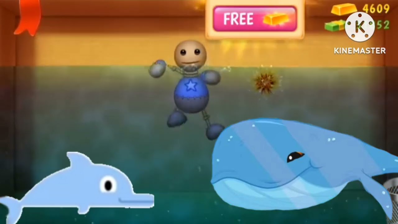 Dolphin and whale watching t v