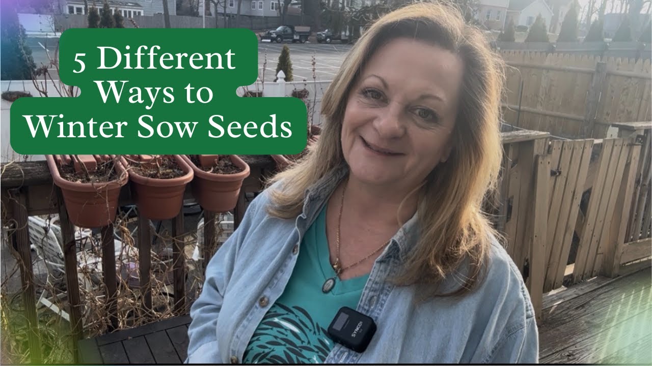 Winter Sowing: 5 Easy & Affordable Ways to Winter Sow Seeds Outdoors for a Thriving Spring Garden