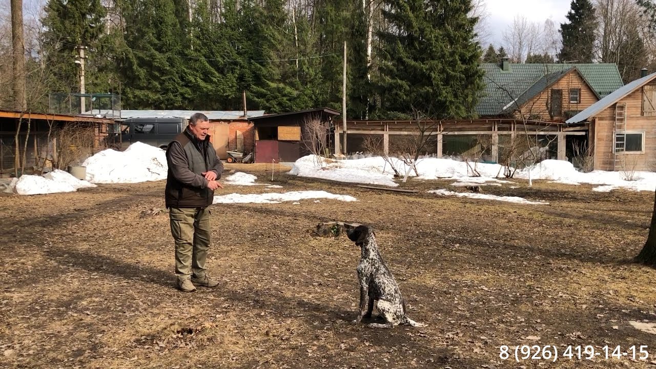 Как тренируется команда 