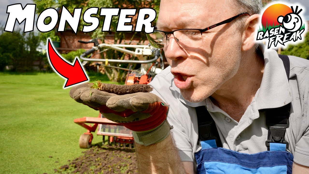 Core Aeration! Riesengroße CORES mit neuen Hohlspoons. Wir aerifizieren unsere letzte Rasenfläche.