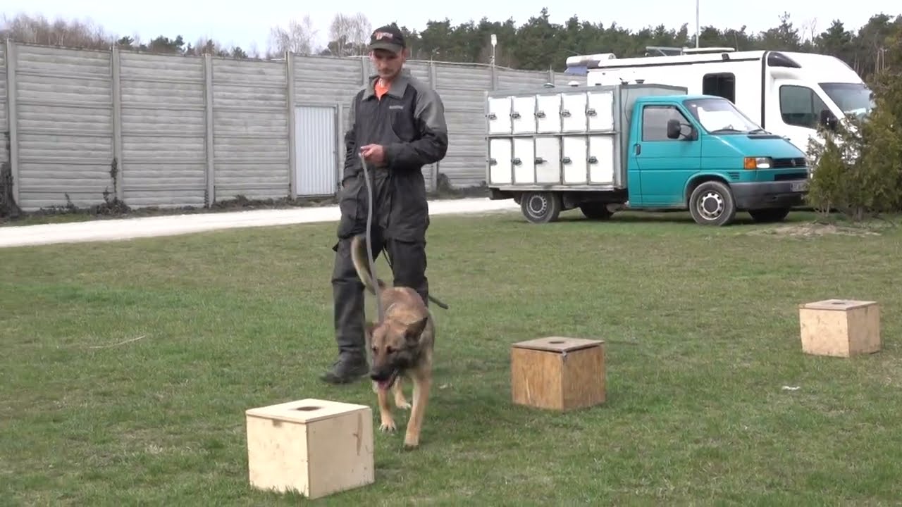 Tora - Detection