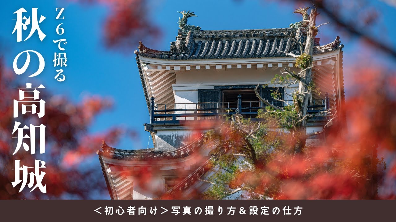 #36 【紅葉×ポートレート撮影】高知城で秋を楽しむ！アクションドールと紅葉を美しく撮るコツを初心者向けに解説｜撮影入門ガイド付き