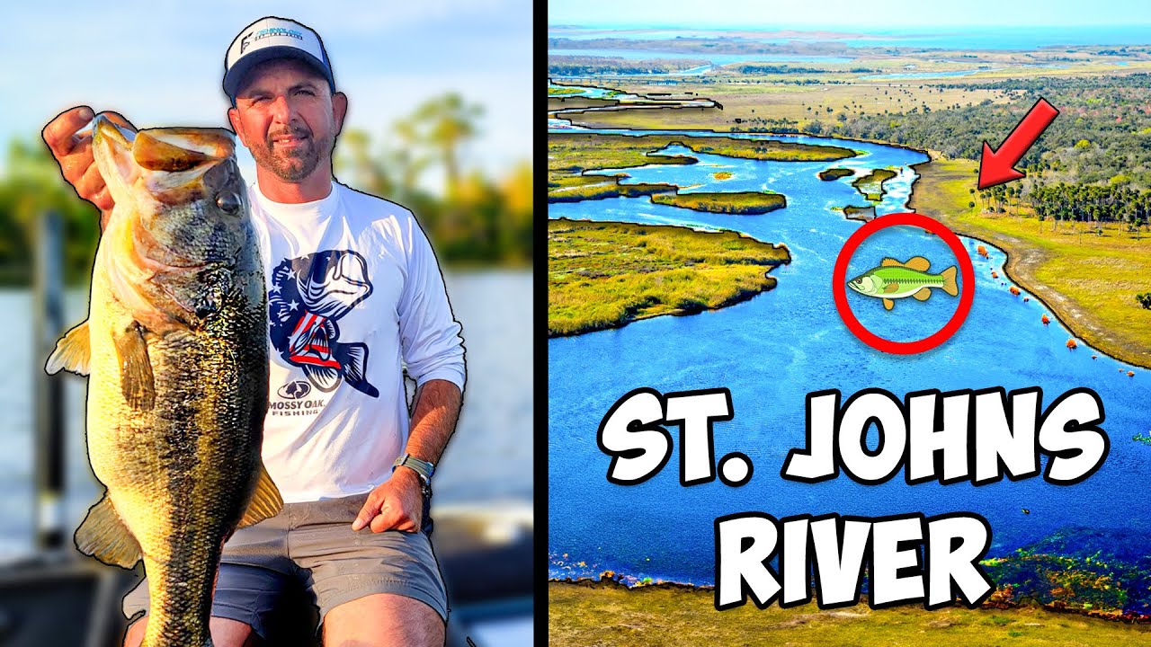 St. Johns River Fishing Report (Where Are The Bass?)