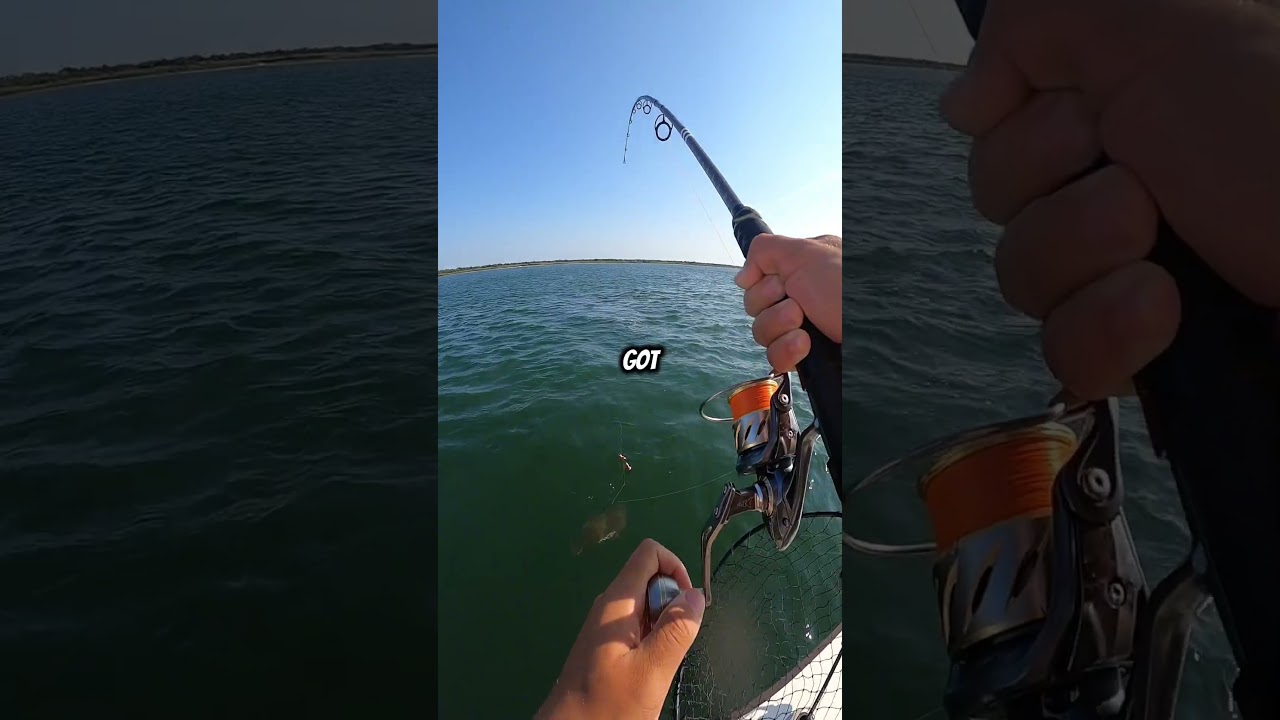 New York Fluke Catch and Cook! Fluke Fishing NY
