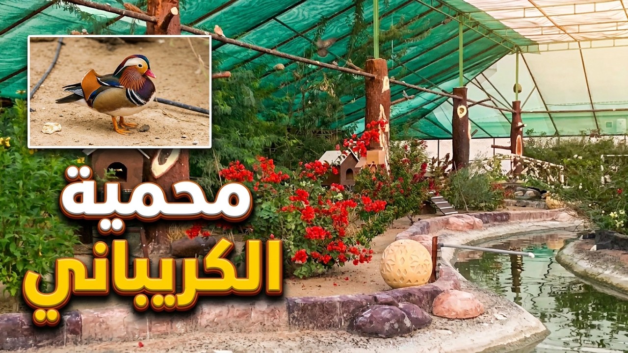 محمية الكريباني