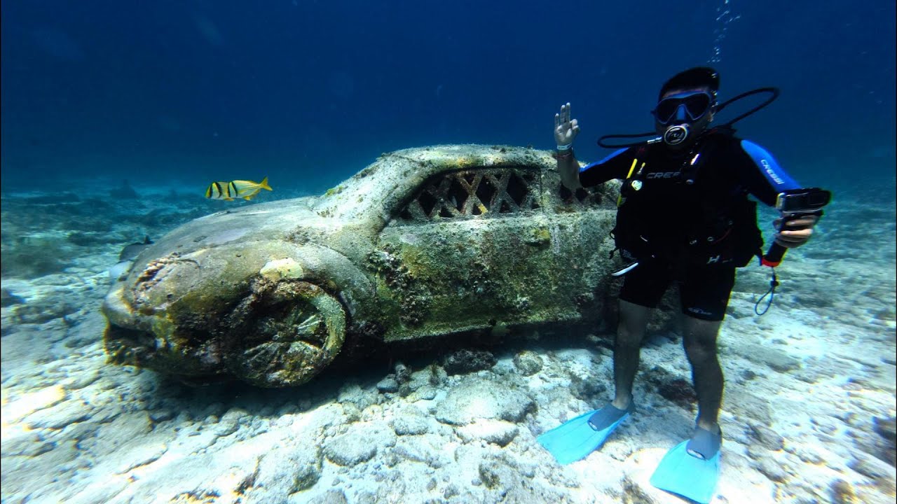 🔴BUCEO EN CANCÚN 🌴ISLA MUJERES⚓
