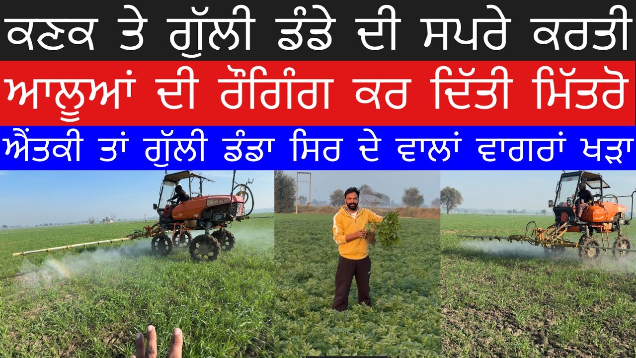 ਗੁੱਲੀ ਡੰਡਾ ਹੀ ਲੋਟ ਨੀ ਆਉਣਾ ਇਸ ਵਾਰ ਤਾਂ ਮਿੱਤਰੋ,ਆਲੂਆਂ ਦੀ ਕਰਤੀ ਰੌਗਿੰਗ,Kanak Te Dubara Beeji C Wdiya Ugri