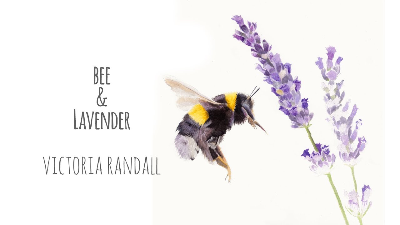 Realistic Watercolour Painting | Bee & Lavender