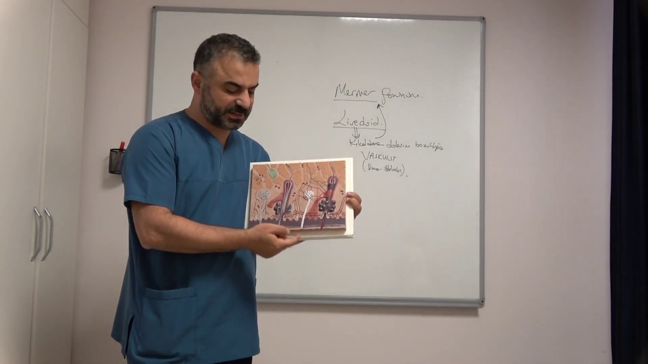 Kılcal damar vaskülit ve iltihapları - Prof. Dr. Ahmet Akgül
