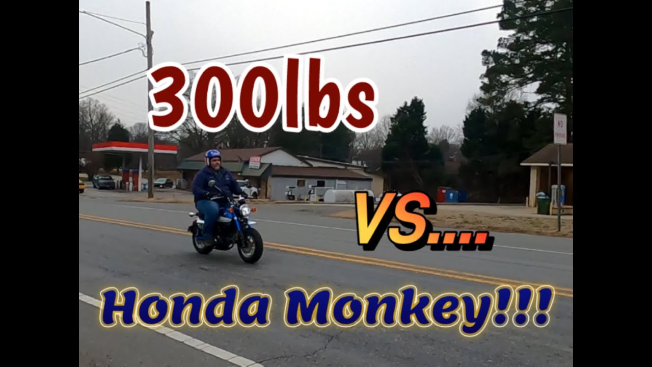 300lb Man on a Honda Monkey??? What you need to know! #hondamonkey #Grom #minimoto