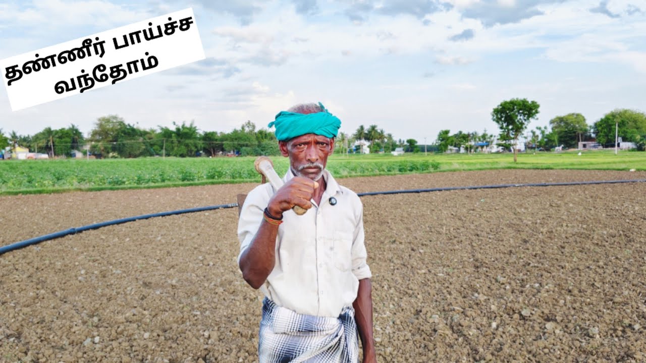 வயலுக்கு தண்ணி பாய்ச்ச வந்தோம்🌱|Village Vlog in Tamil|Idhu Namma Route. #tamil#lifestyle