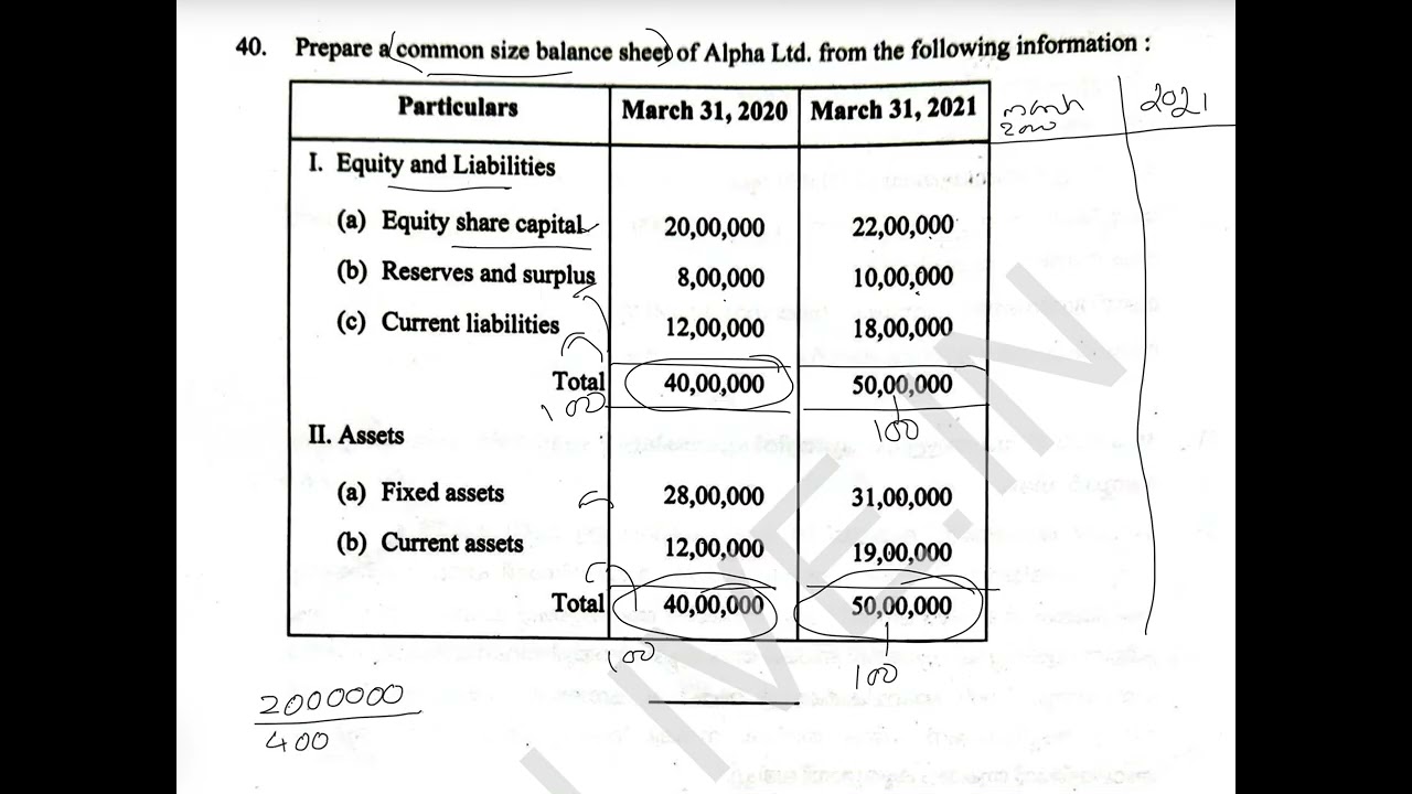 Common size afs plus two accountancy