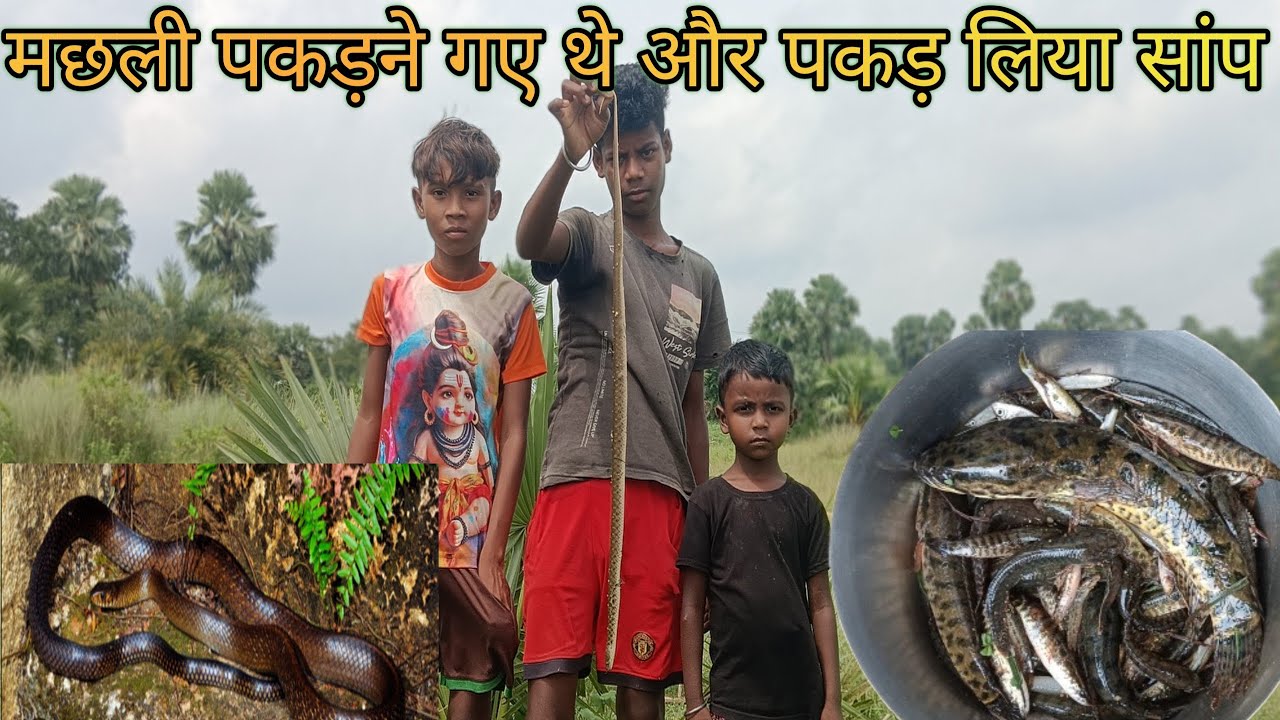 मछली पकड़ने गए थे और पकड़ लिया सांप 🐟🐟🐍🐍🐍!Machhli pakadne gaye the aur pakad liya saanp 