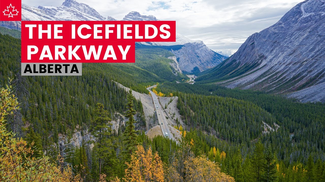 Проезжая по ICEFIELDS PARKWAY (от озера Луиз до Джаспера, Альберта)