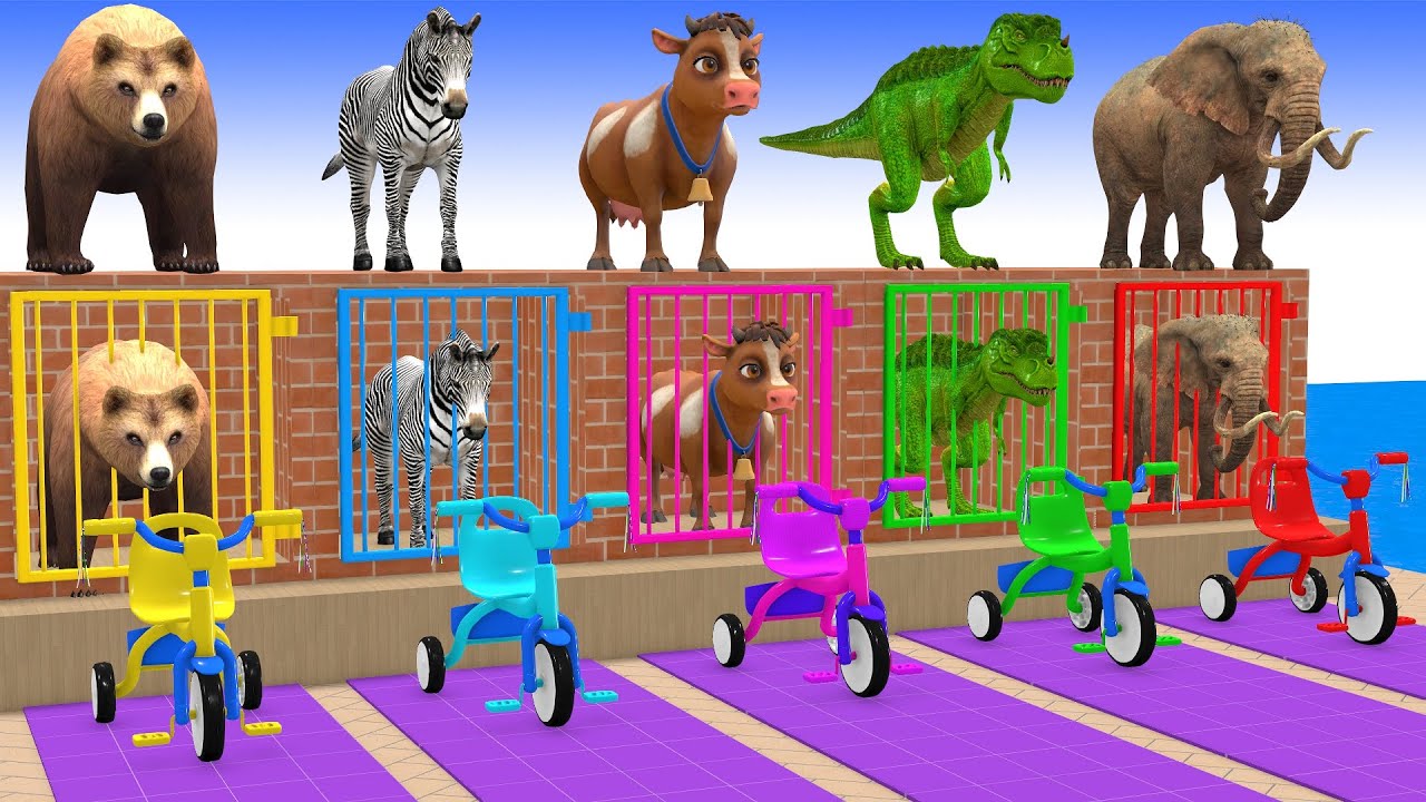 Long Slide Game With Elephant Gorilla Buffalo Hippopotamus Tiger 3d Animal Game Funny 3d Animals #39