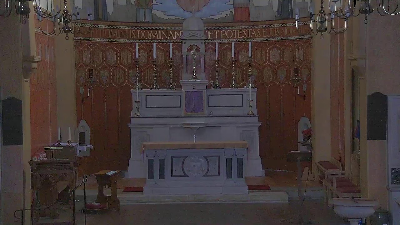 11/3 Holy Mass at 8.00 am.