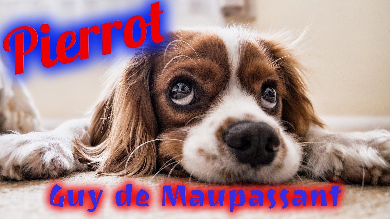 Livre audio : Pierrot, Maupassant