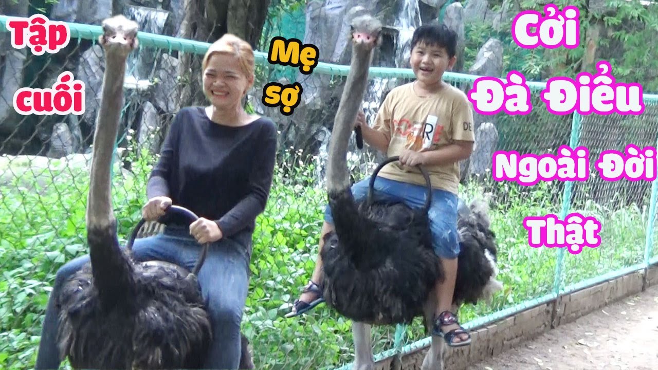 Tập Cuối - Tham Quan Vườn Thú Ở Đại Nam - Cởi Đà Điểu Ngoài Đời Thật [ Trang And Vinh ]