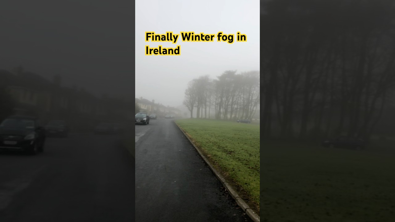Finally Winter Fog In Ireland Started #view #nature  #new #ireland #snow #fog #winter #enjoy #viral