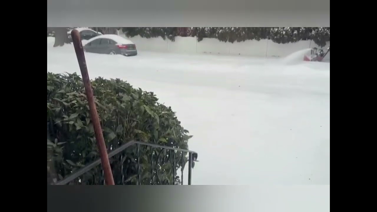 25.1.2026: massive winter weather hit Garden City (Long Island) #Garden City  #winter #snow