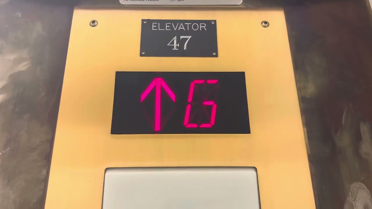Golden Modded 1950&rsquo;s Otis Black Button Traction Elevator 2 | Gerberding Hall | UW, Seattle, WA