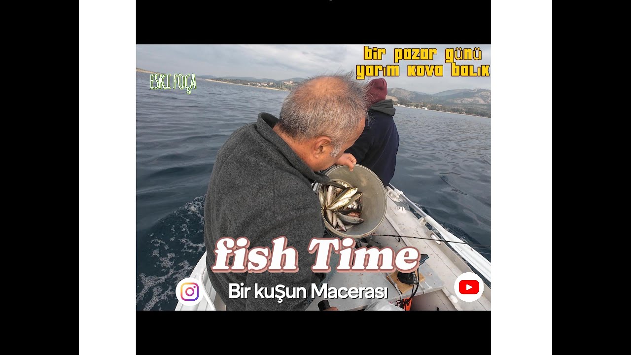 yine şov yaptık biz (we put on a show again,) #keşfet #foça #seastorm #gopez #bot #balıkavı