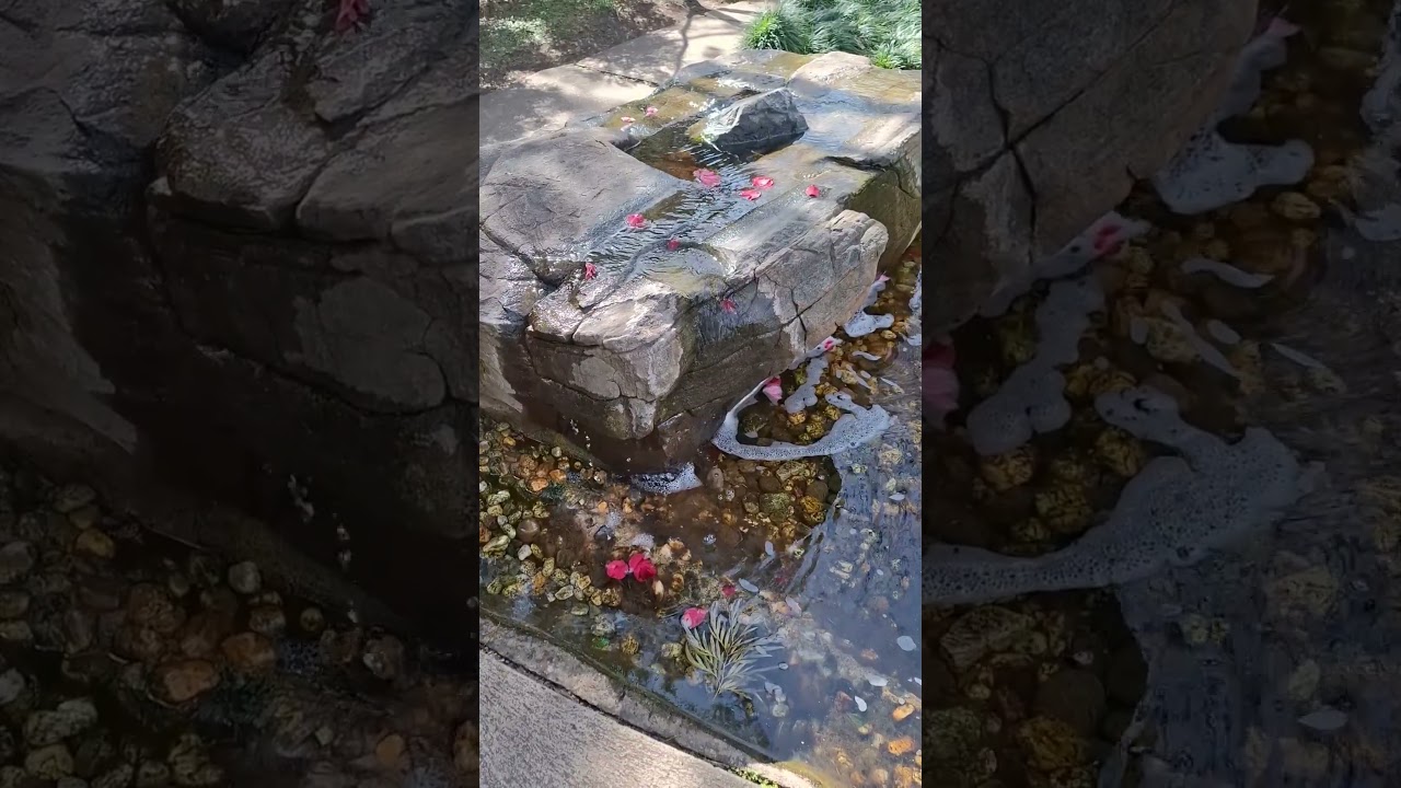 Himeji Japanese Garden Adelaide