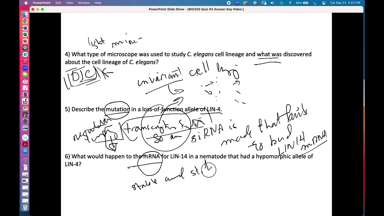 BIO305 Quiz #Answer 3 Key Video, Developmental Biology, David Champlin, USM
