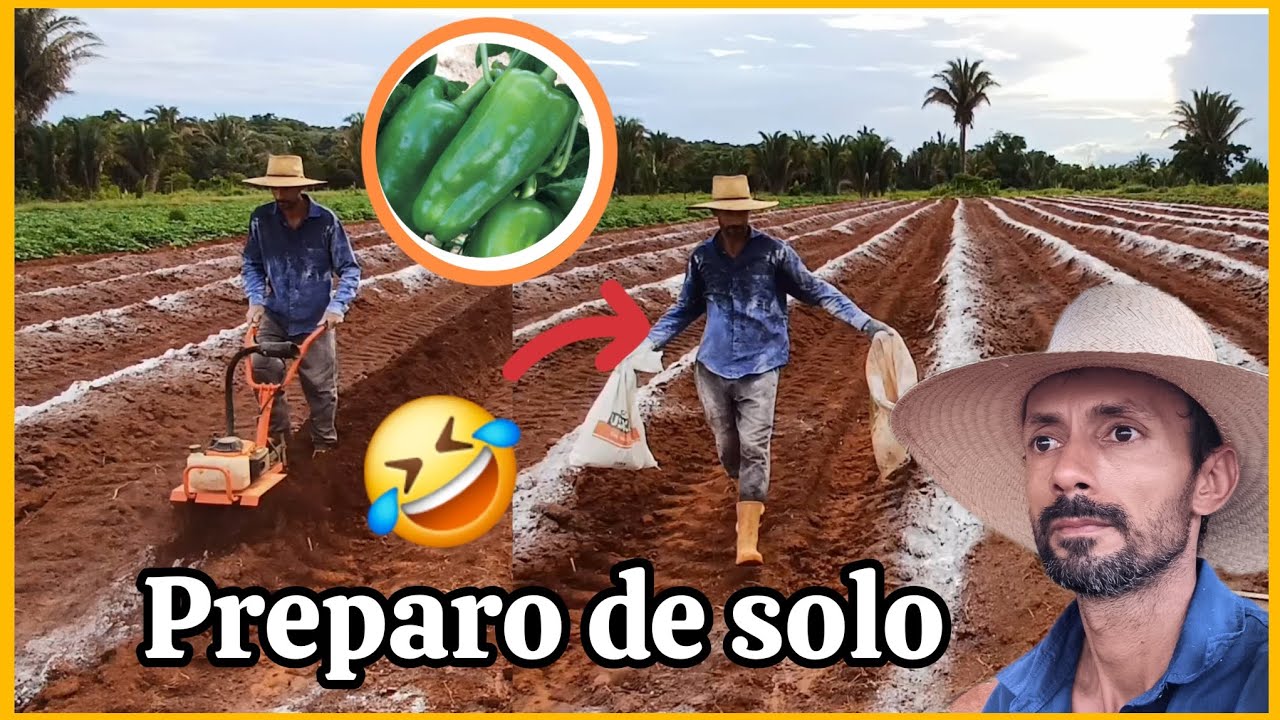 🫑Preparo de solo para a cultura do pimentão verde.