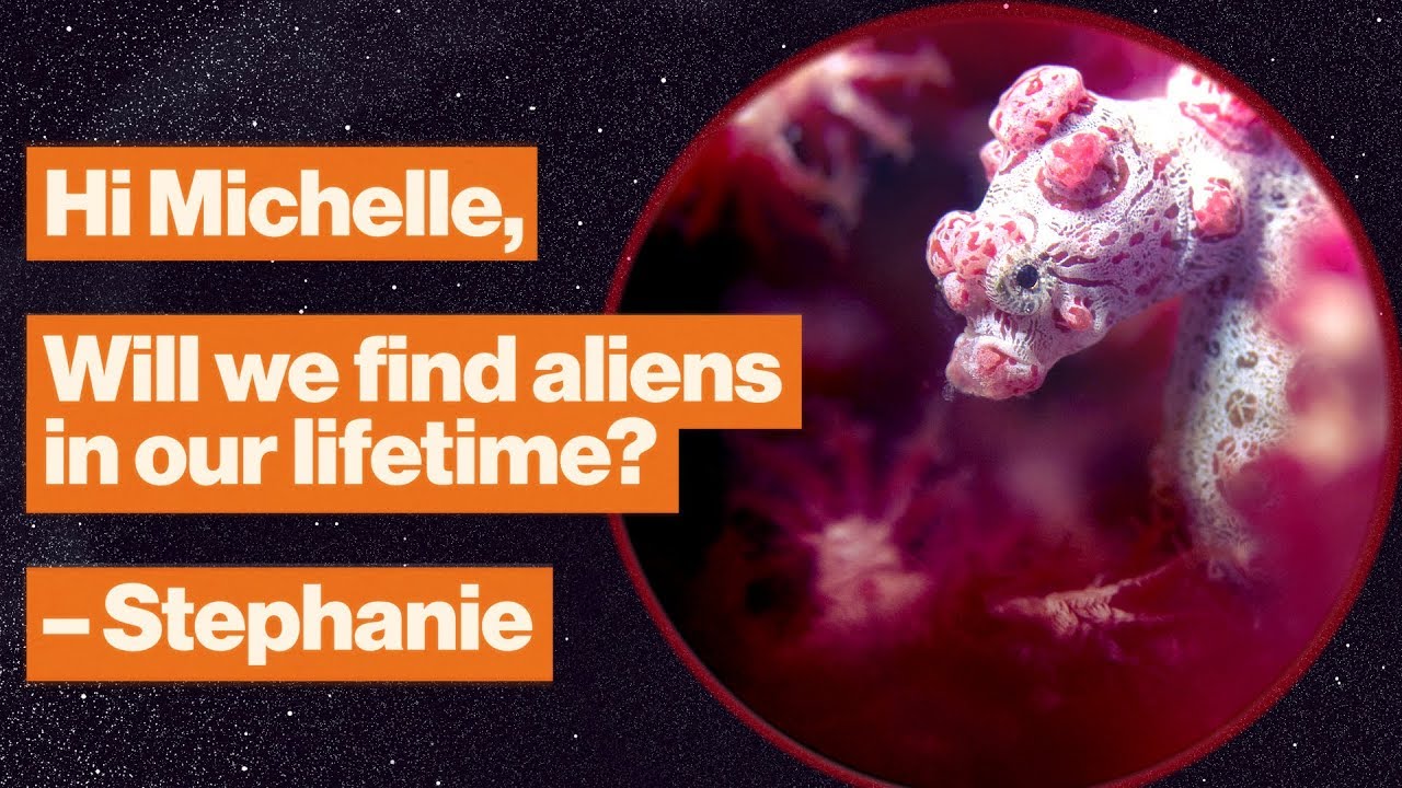 When will we find alien life? Place your bets! | Michelle Thaller | Big Think