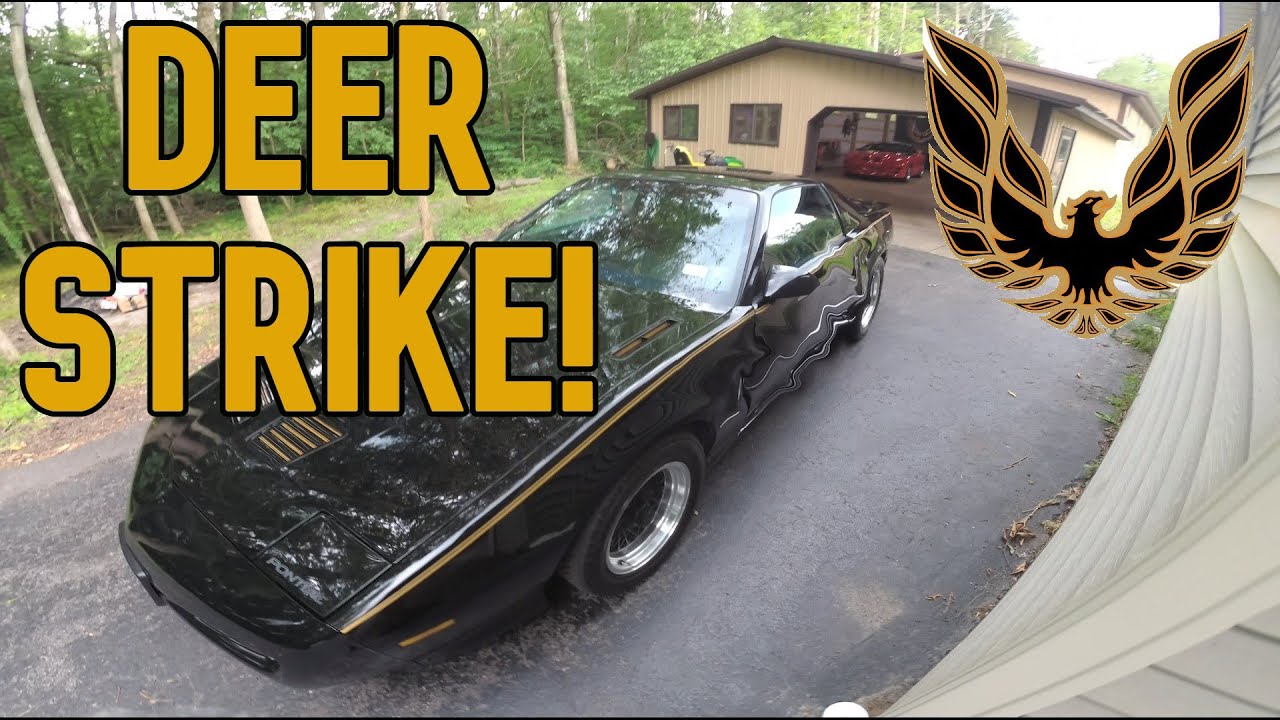 Firebird Trans Am Tire Mismatch Pontiac Ram Air WS6 Knight Rider KITT