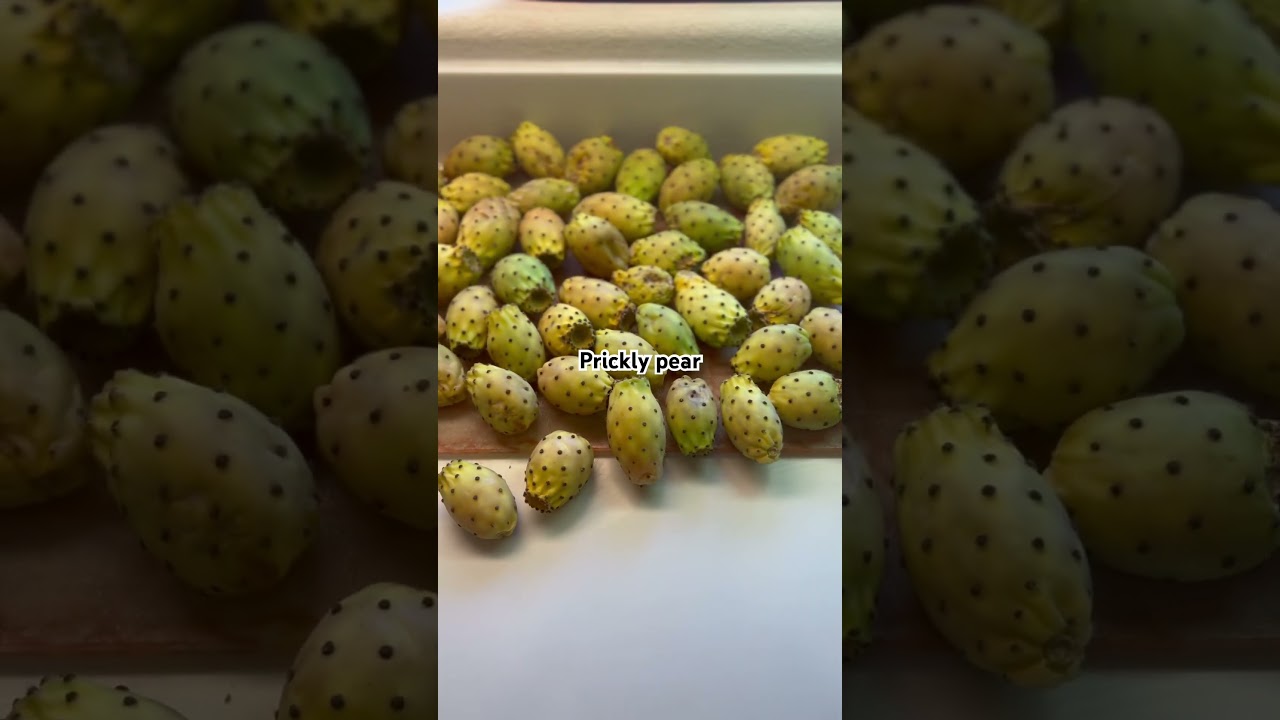 Prickly pear from Nopal cactus #Cactus #Gardening #Fun #prickly pear #nopal￼