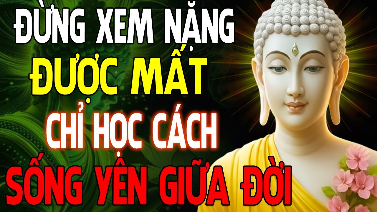Người Khôn Ngoan - Không Hơn Thua, Họ Chỉ Học Cách Sống Yên Giữa Đời | Tâm An Cửa Thiền