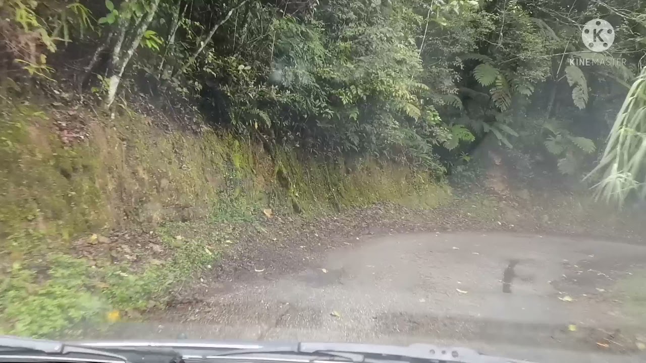 Perjalanan ke Gunung Brinchang ( Mossy Forest )