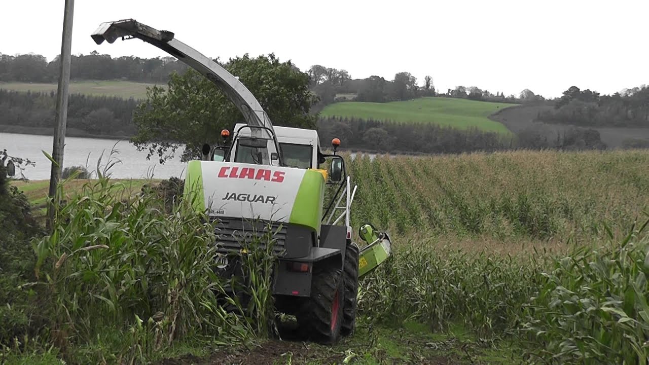 Killens bogged 1