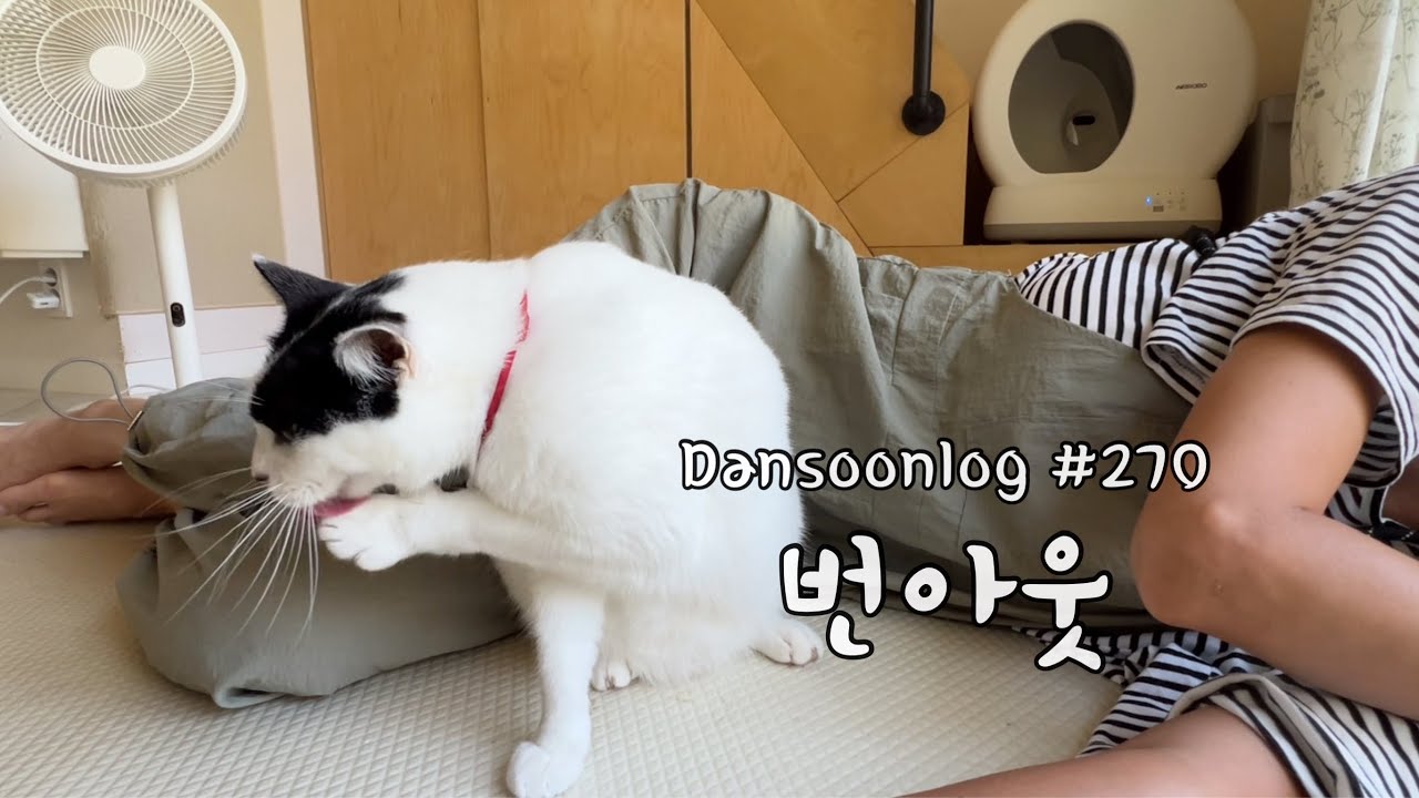 SUB 단순로그270 추석 명절 보내고 제대로 번아웃 온 vlog